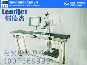 鐳德杰公司 圖 uv噴碼機(jī) 西藏噴碼機(jī)